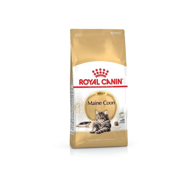 Royal Canin - Essen Maine Coon fЩr erwachsene Katzen - 10 kg