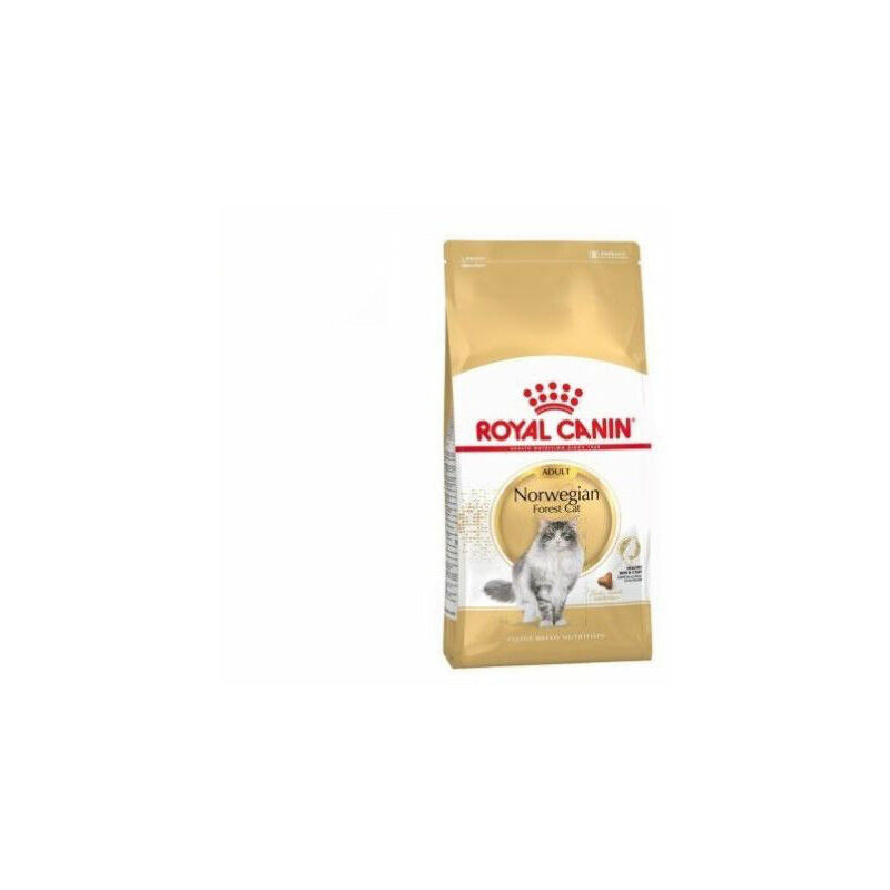 Royal Canin - Essen Norwegian Forest Cat fЩr Katzen 'Norwegen Forest' - 2 kg