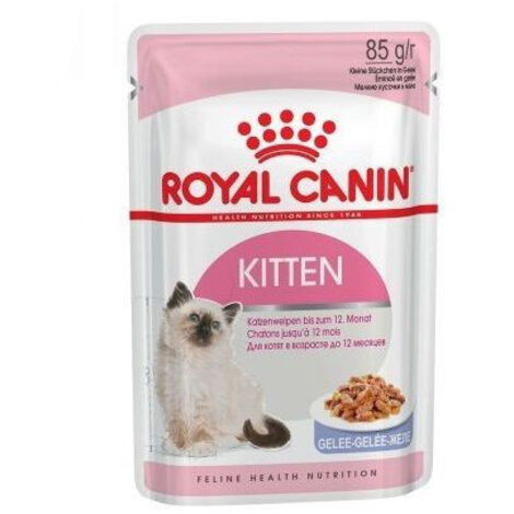 Royal Canin Kitten (gelatina) per gattini fino a 12 mesi - 12 buste 85G