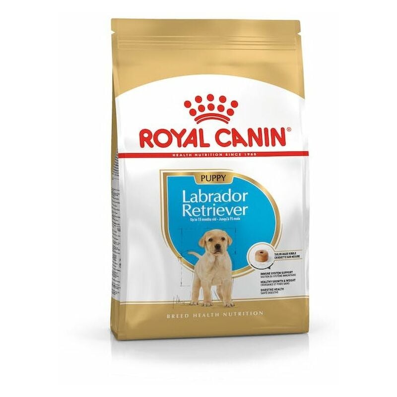 Cane Labrador Retriever Puppy 3 kg - Royal Canin