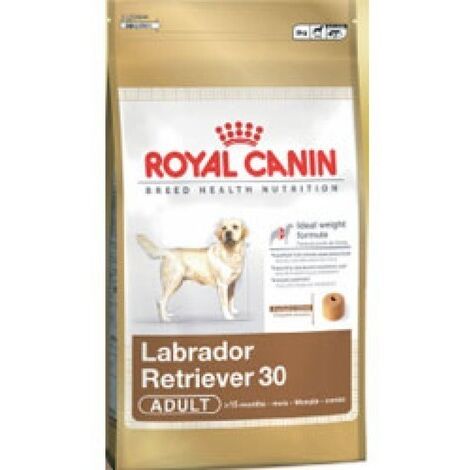 Royal Canin Labrador Retriever Adult Croquettes 12 kg