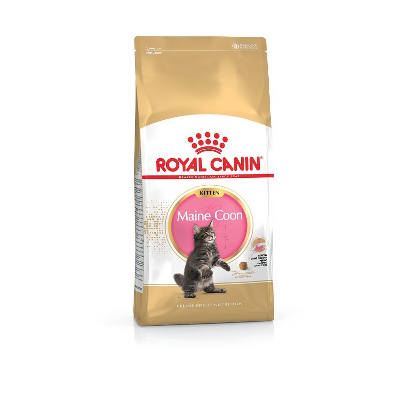 Essen Royal Canin Kitten Maine Coon fЩr Ktzchen - 4 kg