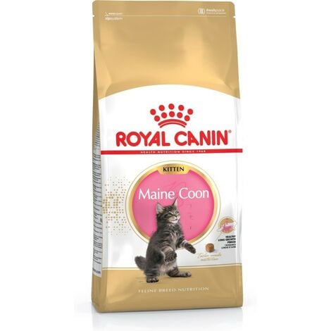 Royal Canin Maine Coon Kitten chats nourriture sèche volaille, riz 4 kg