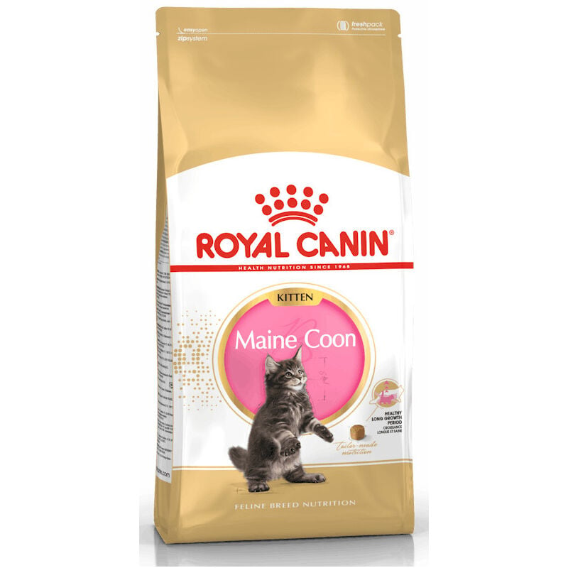 Maine Coon Kitten da 2 Kg - Royal Canin