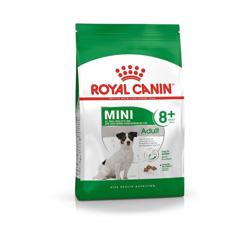 Crocchette per cane mini adult 8+ 4KG - Royal Canin