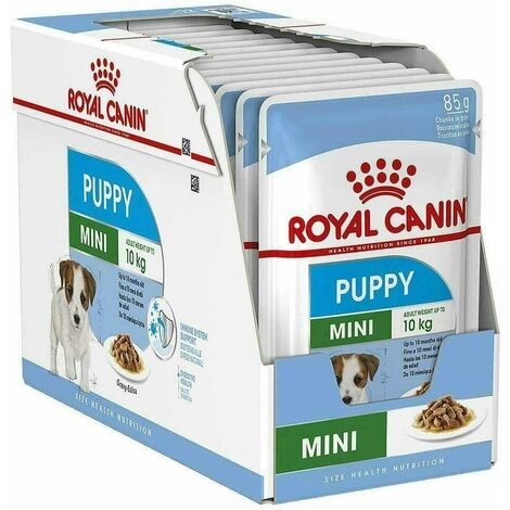 ROYAL BUSTINE CANE MINI DERMA CONFORT GR.85 – MondoPet