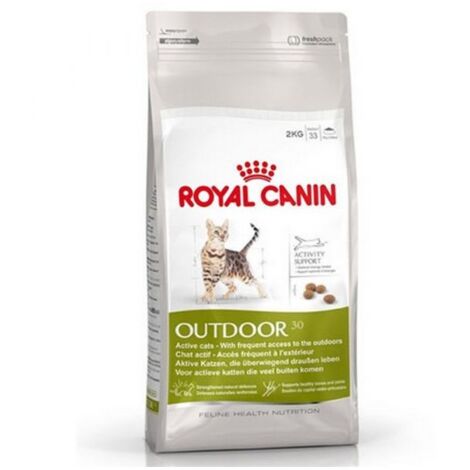 Royal Canin Outdoor Croccantini per Gatto Attivo 2 kg