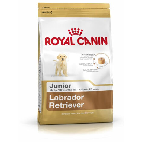 Royal Canin Shn Labrador Junior 12 kg