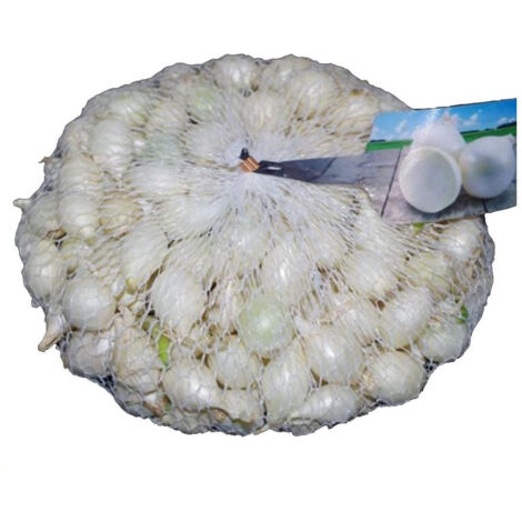 ROYAL SEED - CIPOLLA BIANCA confezione da 500 gr