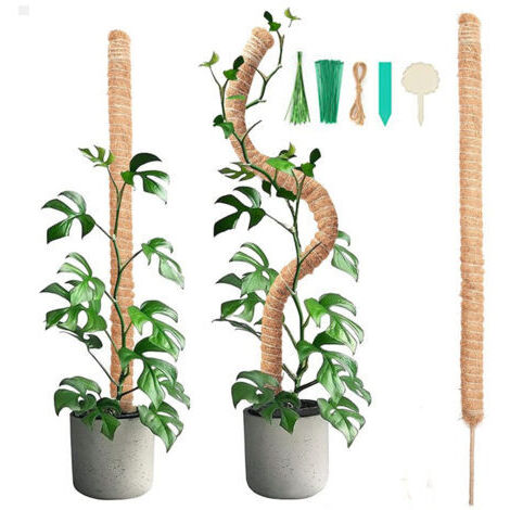 royaluxe -2 pièces 90CM bâton de mousse pliable avec 2 pièces de 2M de long corde de chanvre, bâton de noix de coco pour plantes, aides à l'escalade pour plantes grimpantes, support de plantes de jard
