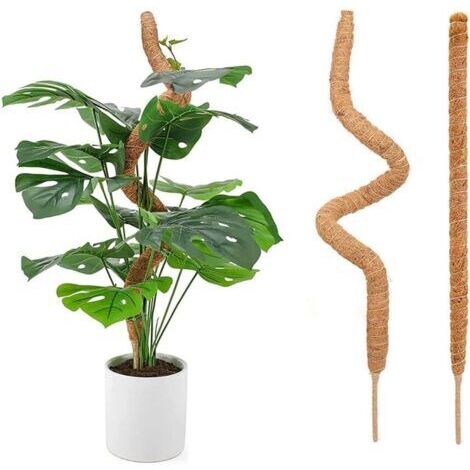 royaluxe -2 Pièces Tuteur Plante Grimpante 70cm Monstera Poteaux en Mousse Bâton de Plantes Pliables Plante Tuteur Coco Extension et Support Poteaux en Mousse Sphaigne Faites Main à Pousser pour Maiso