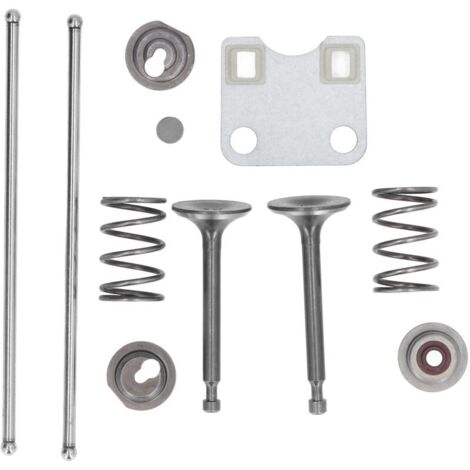royaluxe -Couvercle de Protection de plaque de Valve, jeu de ressorts de Valve, accessoires de tondeuse à gazon 14791ZE1010 pour mot GX160 GX200 5,5hp 6,5hp
