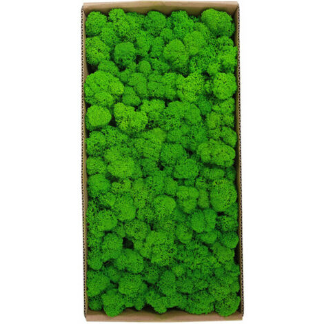 royaluxe - Décoration murale en mousse préservée Véritable mousse préservée Aucun entretien requis Mousse naturellement préservée