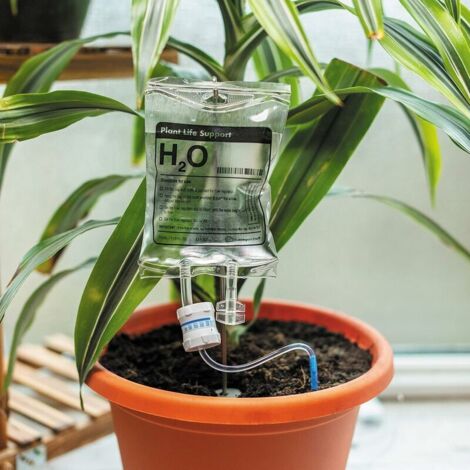 royaluxe - Dispositif d'irrigation goutte à goutte pour plantes d'intérieur Système d'arrosage automatique – Accessoires pour la maison Arrosage des plantes d'intérieur,