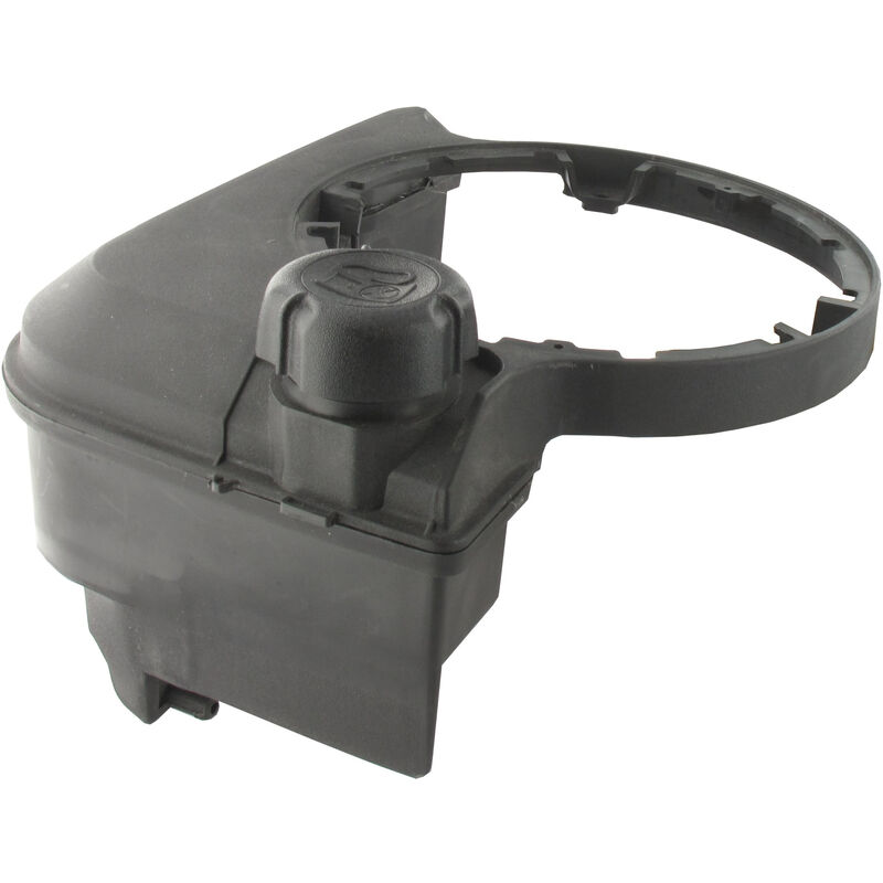 Réservoir à essence BRIGGS ET STRATTON 699374