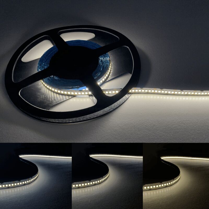 Silamp - Ruban led 5M 24V 2835 IP20 240LED/m - Blanc Froid 6000K - 8000K