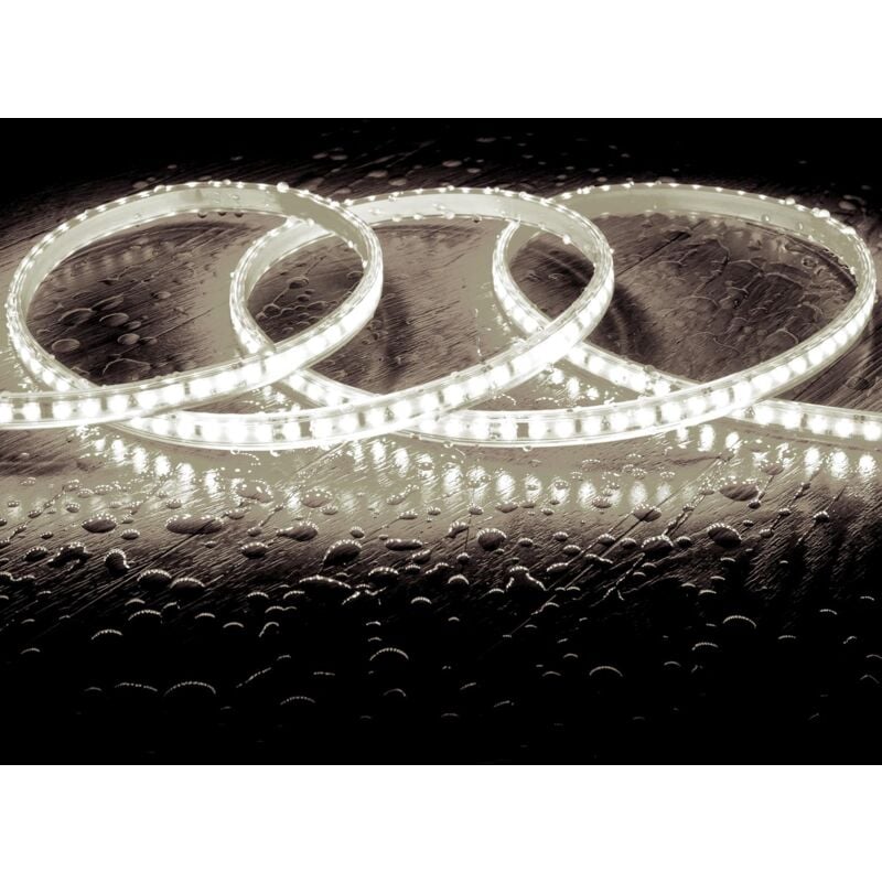 Ruban led Dimmable Auto-redressement 220V SMD2835 120LED/m 1000 lm/m IP65 Largeur 12mm sur mesure Coupe tous les 10cm Blanc froid 10 m 6000K