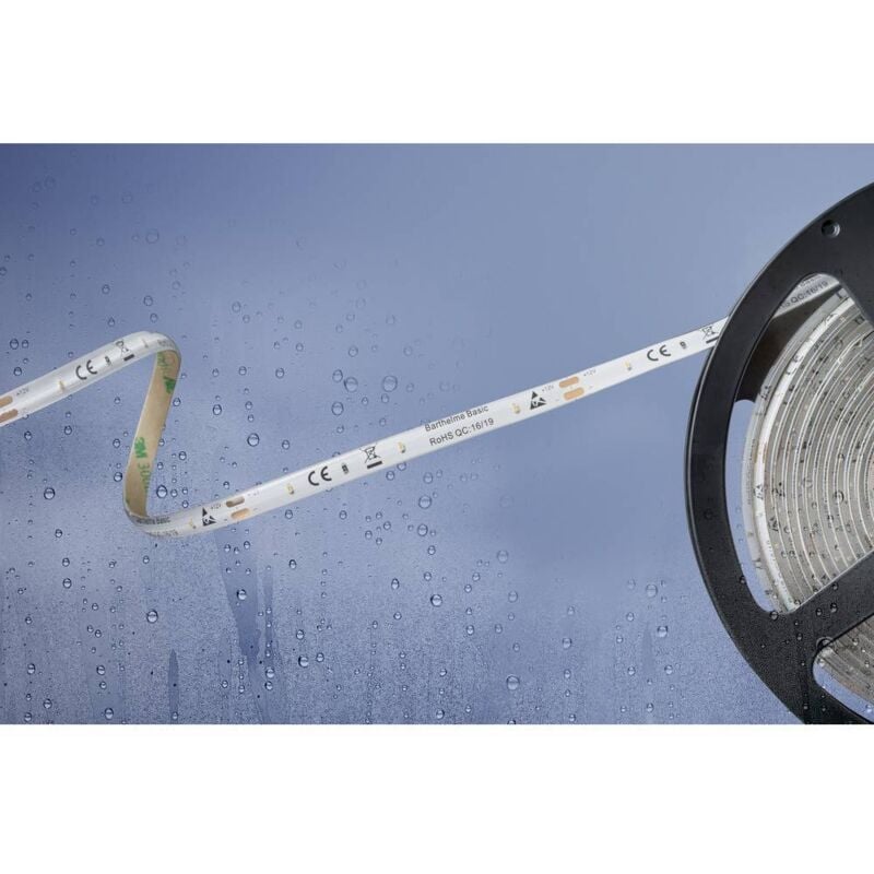 Ruban led Barthelme Basic 51540428 avec câble à extrémités ouvertes 12 v 5 m n/a 1 pc(s)