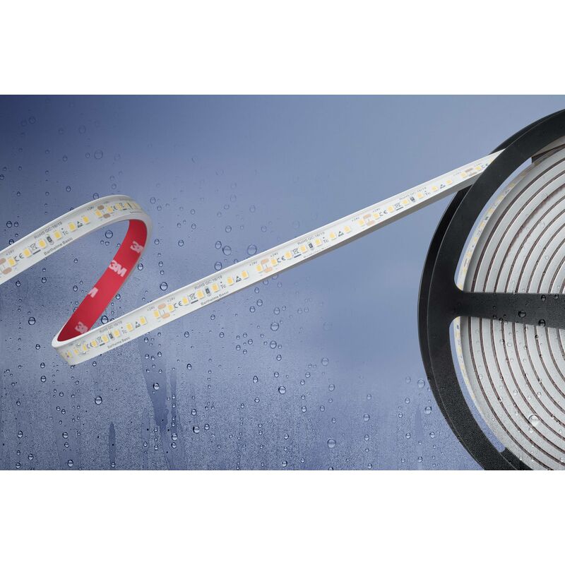 Ruban LED Barthelme Basic 51540533 avec câble à extrémités ouvertes 24 V 5 m N/A 1 pc(s) R806141