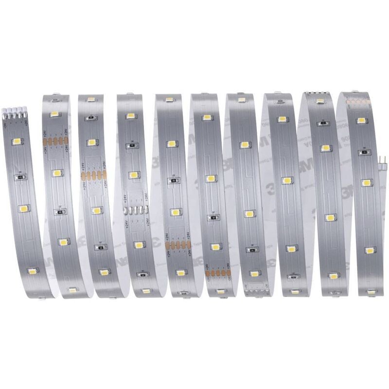 MaxLED Stripe Basic 79852 Ruban led (Base) avec connecteur mâle 24 v 3 m blanc chaud 1 pc(s) - Paulmann