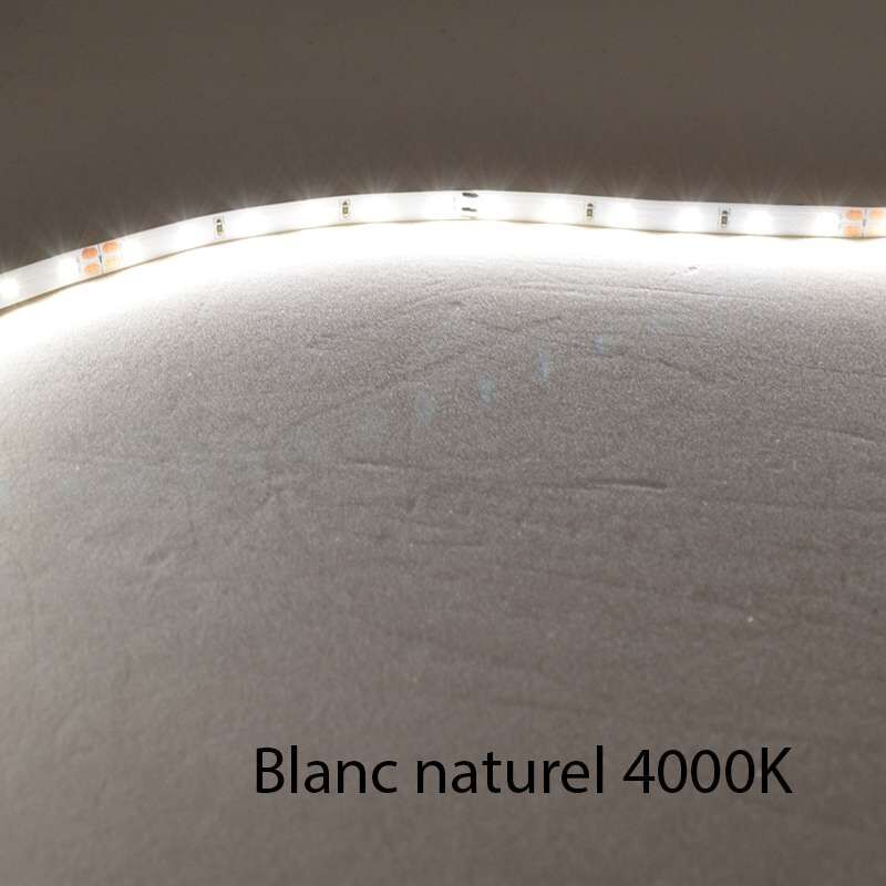 Ruban led Blanc 60 LED/m 4,8W/m IP20 5m - Blanc Naturel 4000K