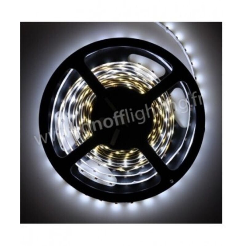 Ruban LED blanc froid 7000K 5W/m (longueur 5m) 12V DC (alim non incl) dimmable 120° intérieur IP20 RUBILIGHT 3528601-70