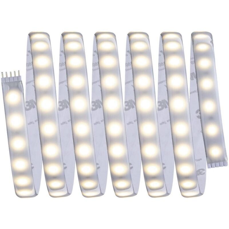 Paulmann 70549 Ruban LED (Extension) avec connecteur mâle 24 V 2.5 m blanc chaud 2.5 m