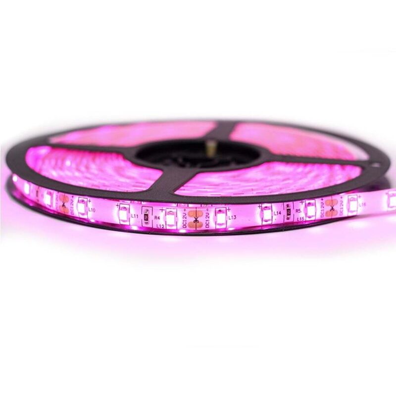 Sysled – Ruban LED rose 3528 – 60 LEDs – Longueur 1 à 10 mètres – IP65 pour extérieur – 4,8W/m – Lumière 420 lm/m