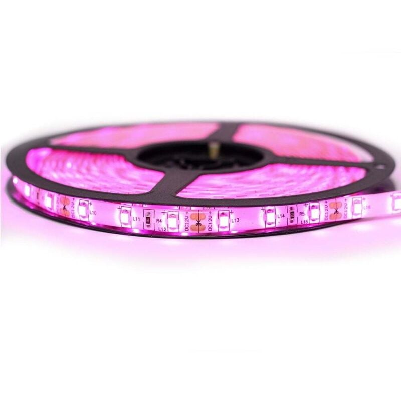 Ruban Professionnel 3528 -60 leds/ 1 à 10 mètres au choix - Rose (IP65) Longueur: 5 mètres - Transformateur: Alimentation Inclus