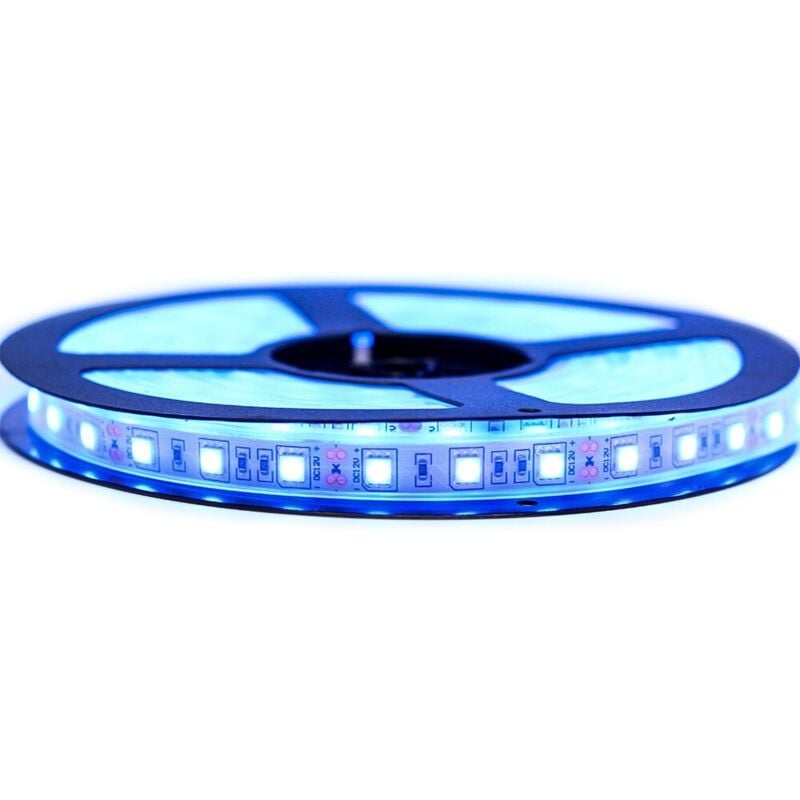 Ruban LED Professionnel 5050 / 60 LED 5 mètres bleu electrique étanche (IP67) Longueur: 5 mètres - Transformateur: Alimentation Inclus