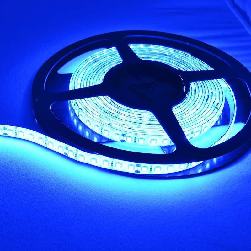 Leclubled - Ruban led Puissant 120 LED/m 9,6W/m IP65 5m - Lumière Bleu