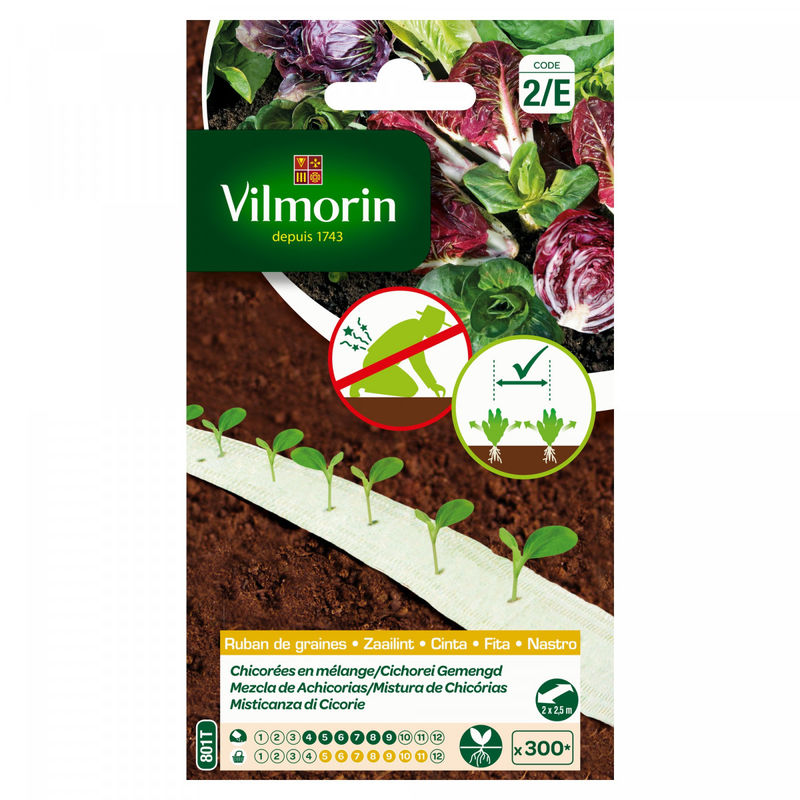 Vilmorin - Ruban de graines chicorées mélange 5m