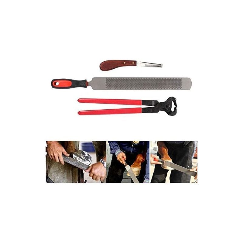 Soins des Sabots pour Chevaux, Rappe Sabot Lime Equin Lime à Sabot Double Face avec Pince à Sonder Professionnels Couteau à Sabot - Sjlerst