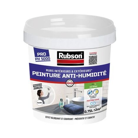 STOP HUMIDITE MUR CAVE 2.5L BLANC