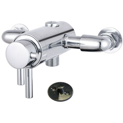 Thermostatic mixer showers