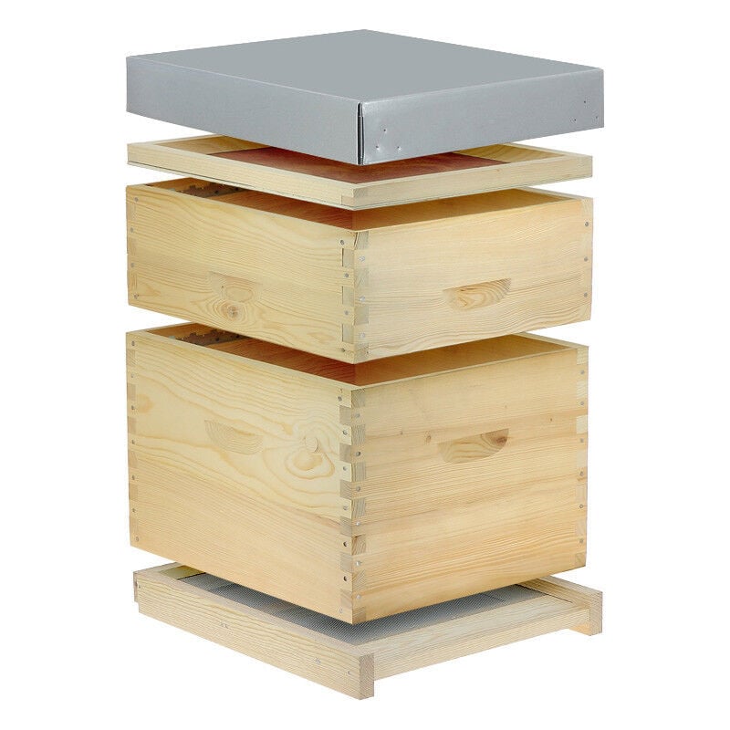 Ruche à tenons Dadant 10 cadres (fond aération totale, hausse & cadres filés)