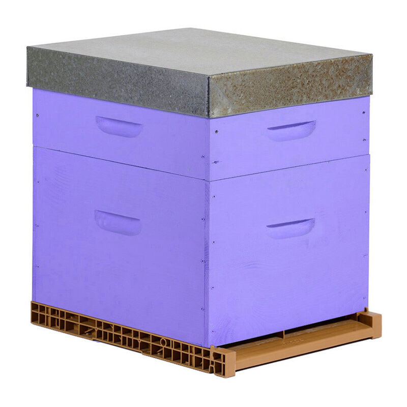 Ruche colorée Dadant 10 cadres (hausse) - Plusieurs modèles disponibles - Lavande