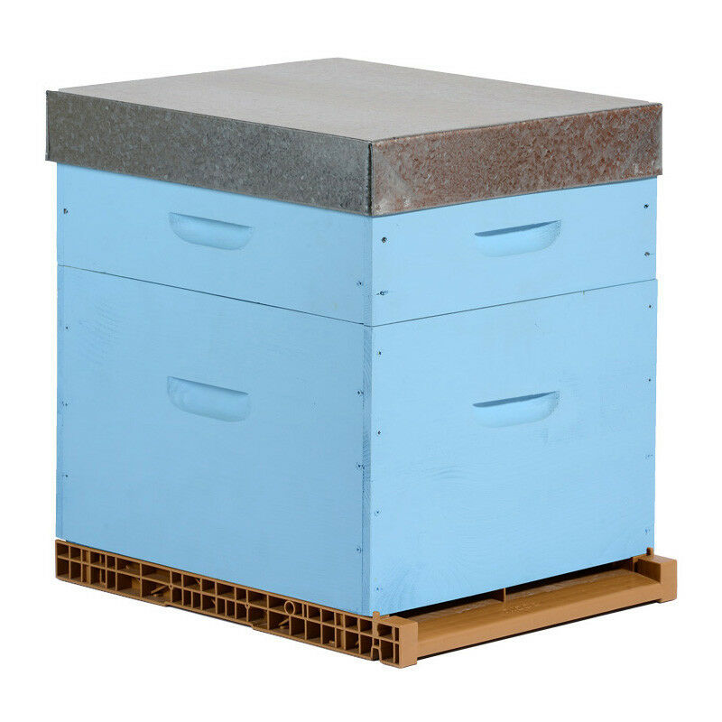 Ruche colorée Dadant 10 cadres (hausse) - Plusieurs modèles disponibles - Azur