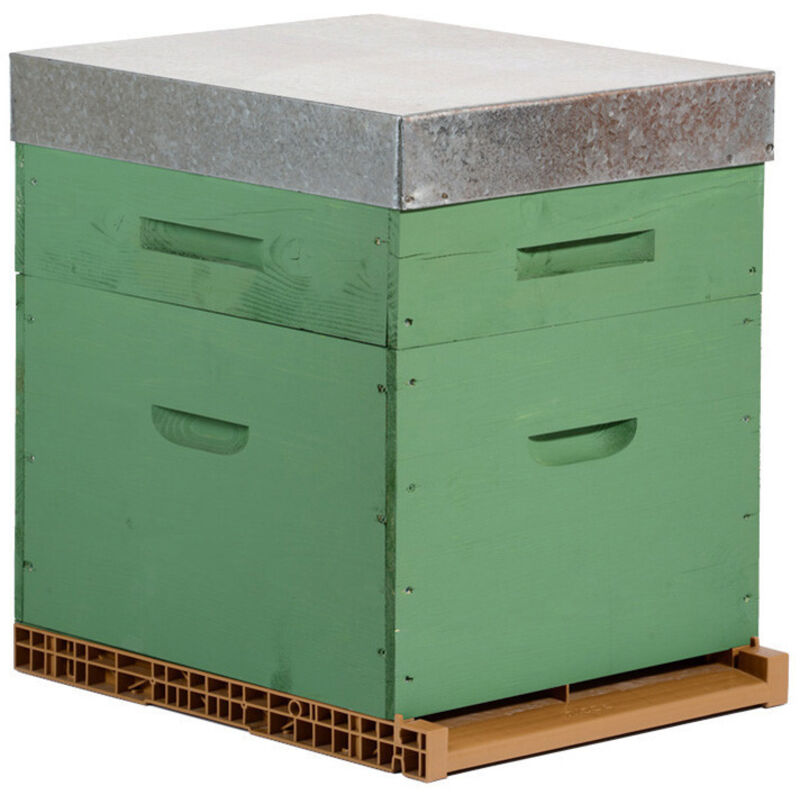 Ruche colorée Dadant 10 cadres (hausse) - Plusieurs modèles disponibles - Olive