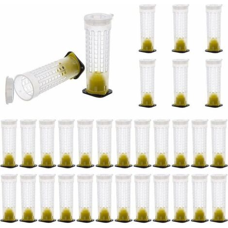 Ruche pour l'élevage d'abeilles, cage à reine, support pour boîte à roulettes de collecte, 30 pièces - AquaForge