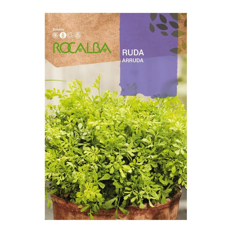 Rocalba - Ruda Ruda Bags Seeds 0,5 g