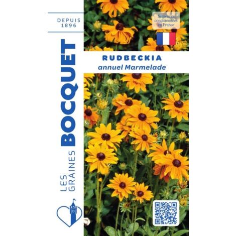 Rudbeckia annuel Marmelade - 0,5g