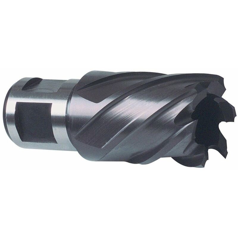

Ruko 108214F - Broca Hueca Hss Tiain-Futura Vástago Weldon (Ø 14 Mm)