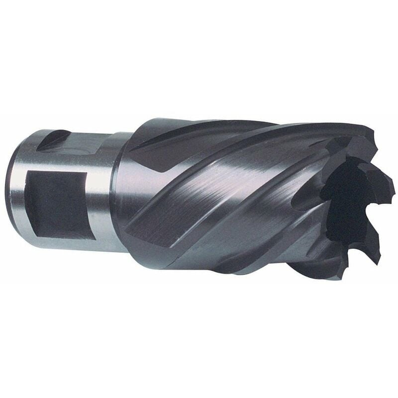 

Ruko 108228F - Broca Hueca Hss Tiain-Futura Vástago Weldon (Ø 28 Mm)