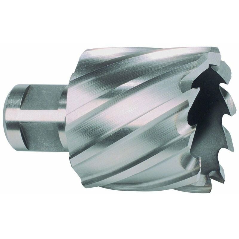 

Ruko 108231E - Broca Hueca Hss-Co 5 Cobalto Vástago Weldon (Ø 31 Mm)