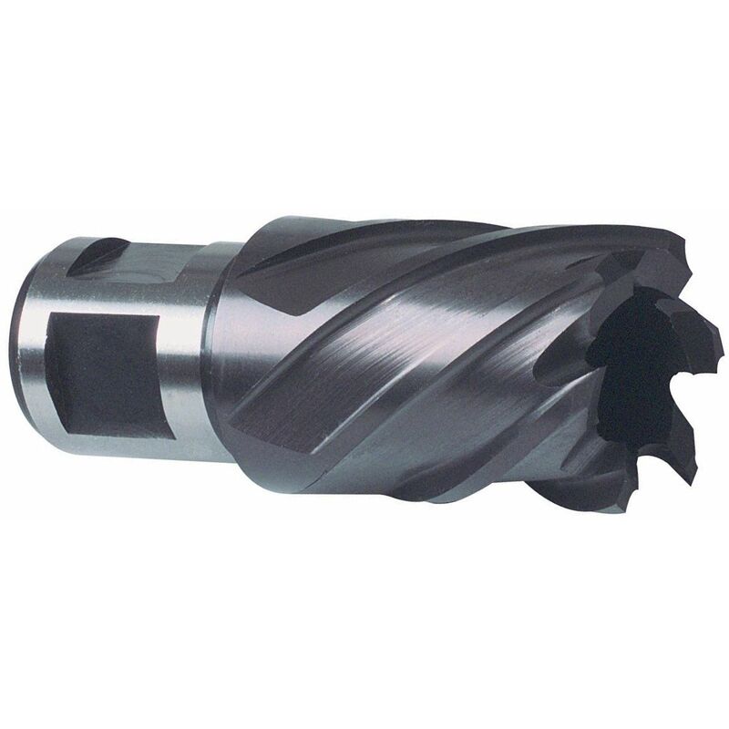 

RUKO 108240F - Broca hueca HSS TiAIN-FUTURA vástago Weldon (Ø 40 mm)