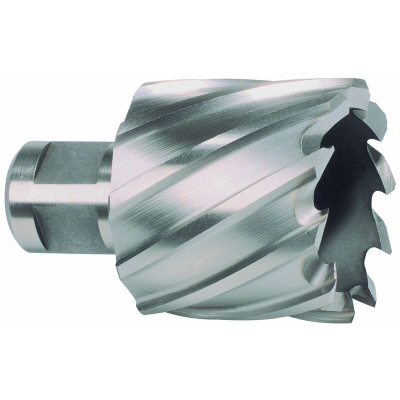 

RUKO 108255E - Broca hueca HSS-Co 5 Cobalto vástago Weldon (Ø 55 mm)