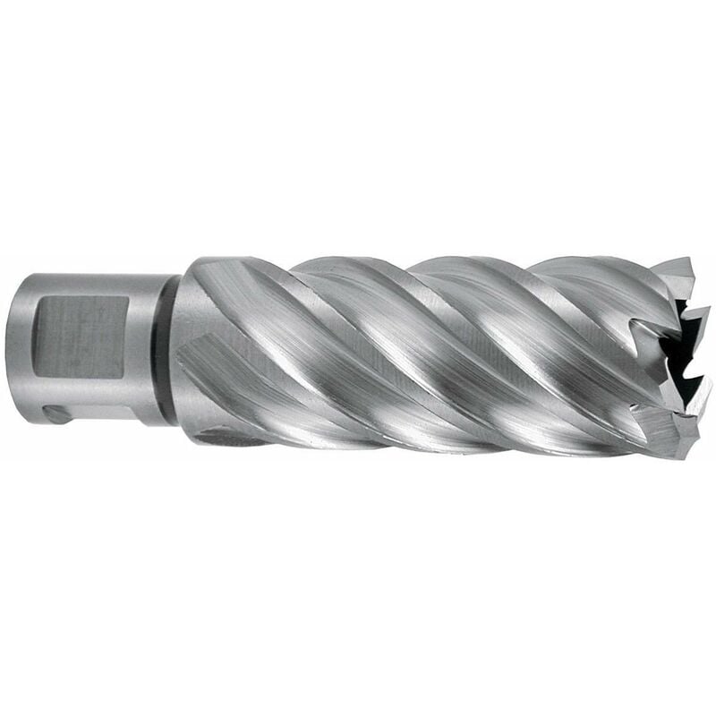 

Ruko 108513E - Broca Hueca Hsse-Co 5 Con Vástago Weldon (3/4') Rectificada Cbn Profundidad De Corte 55 Mm (Ø 13,0 Mm)