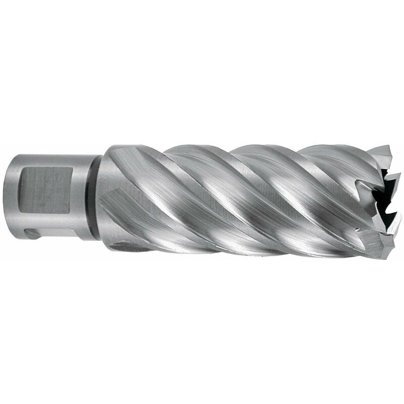 

Ruko 108520E - Broca Hueca Hsse-Co 5 Con Vástago Weldon (3/4') Rectificada Cbn Profundidad De Corte 55 Mm (Ø 20,0 Mm)