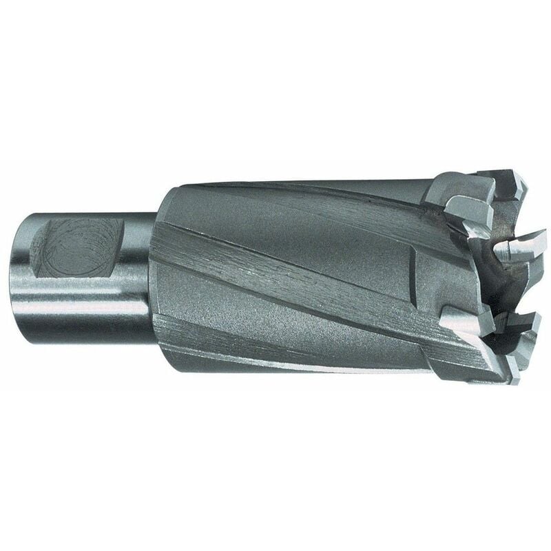 

RUKO 108720 - Broca hueca dientes metal duro vástago Weldon (Ø 20 mm)